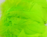 Intruder Prop Hackle