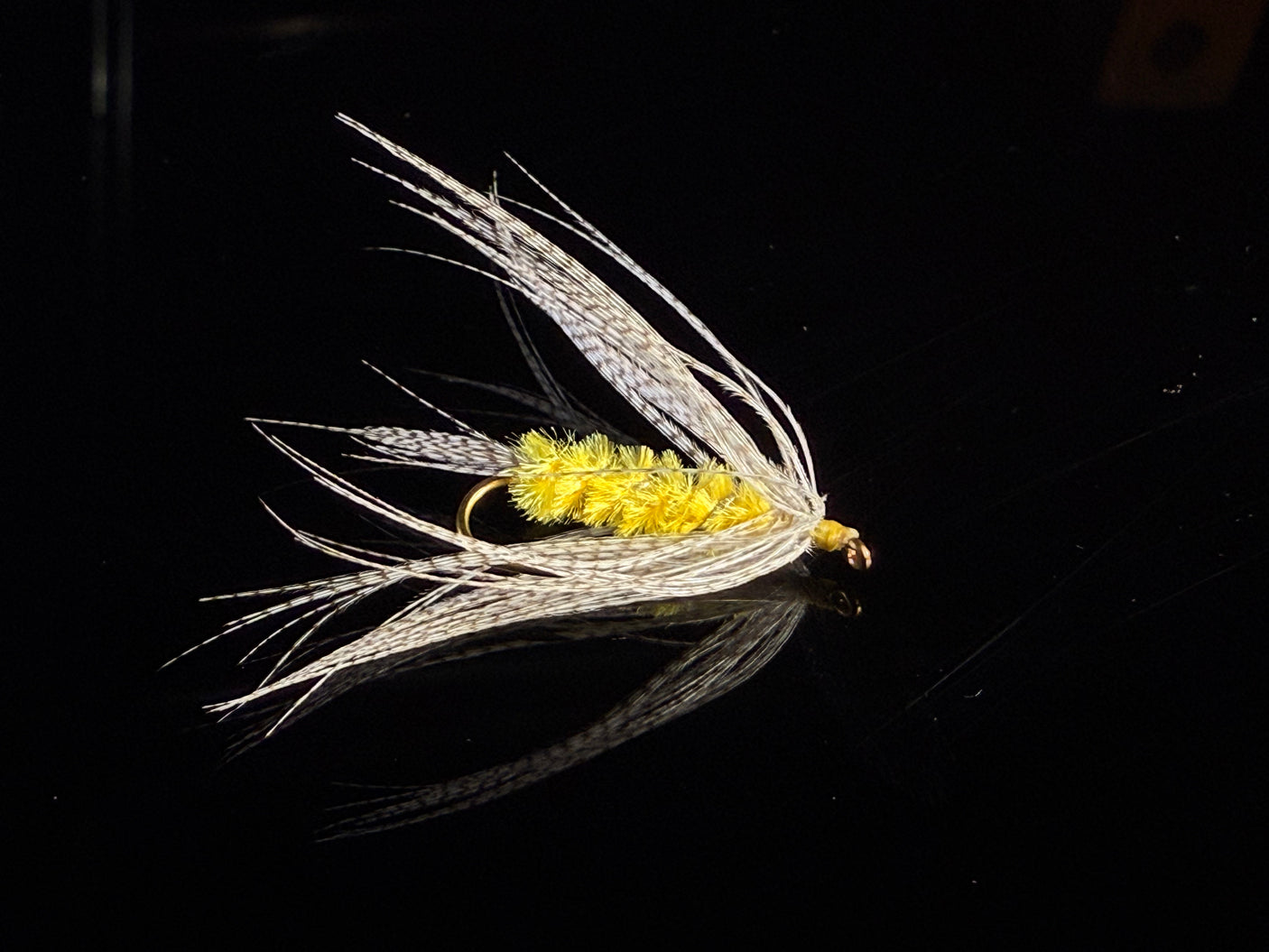 Knudson Spider