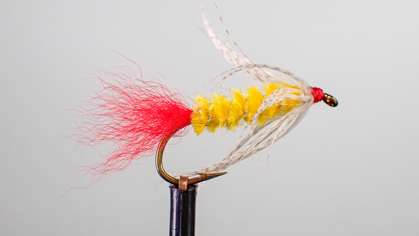 Knudson Spider - Red Tail