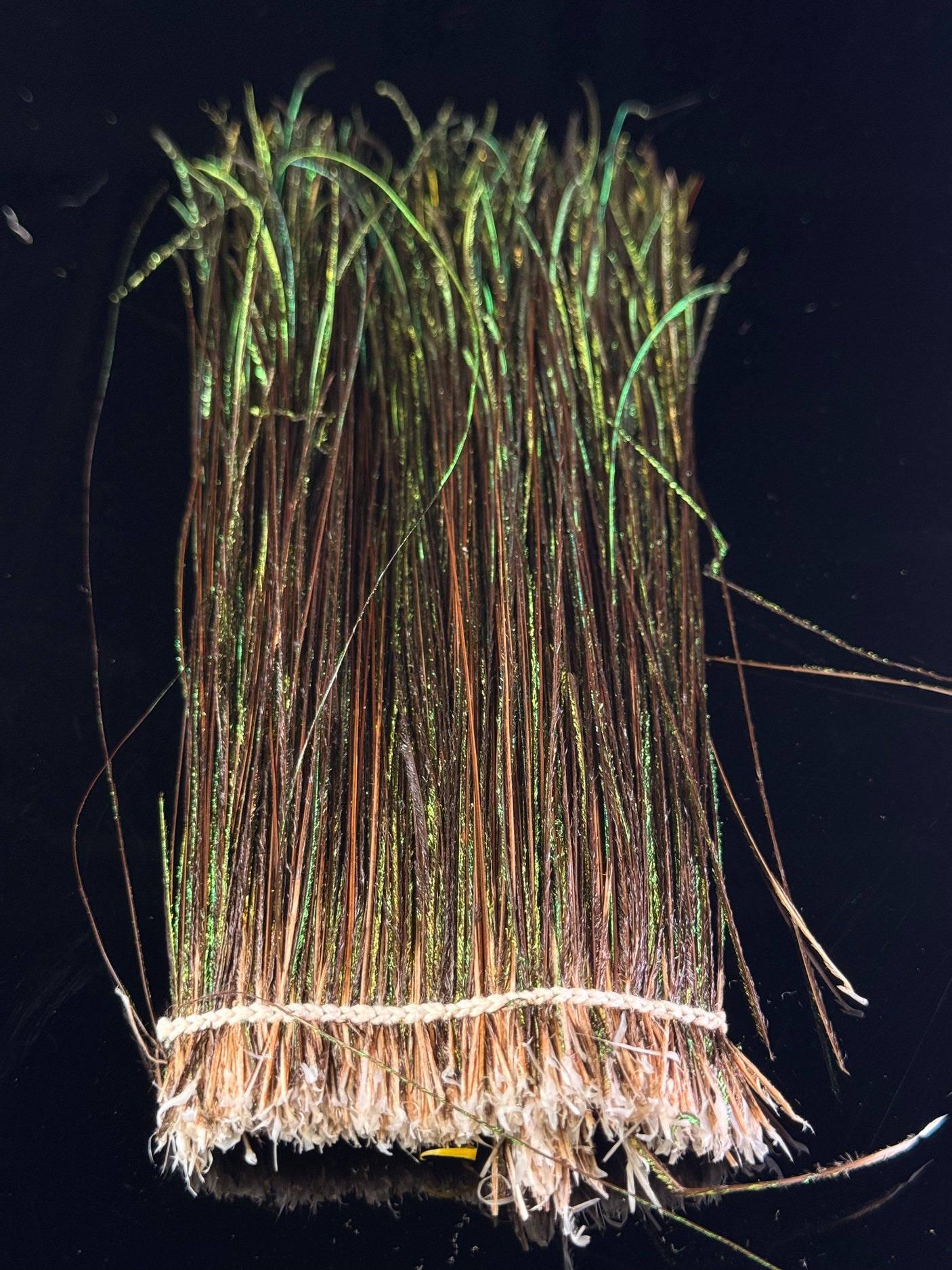 PEACOCK STRUNG HERL - 6" to 8" Medium Bag - 1/8 oz."