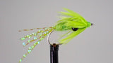 ITR Shrimp