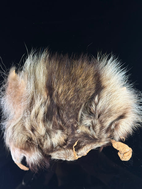 Raccoon Mask
