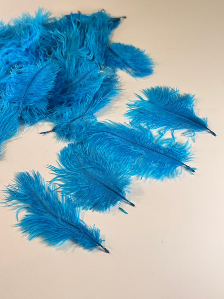 Ostrich Mixed Body Feathers