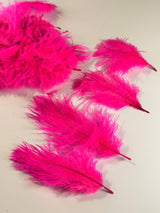 Ostrich Mixed Body Feathers
