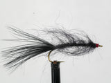 Hale Bopp Leech