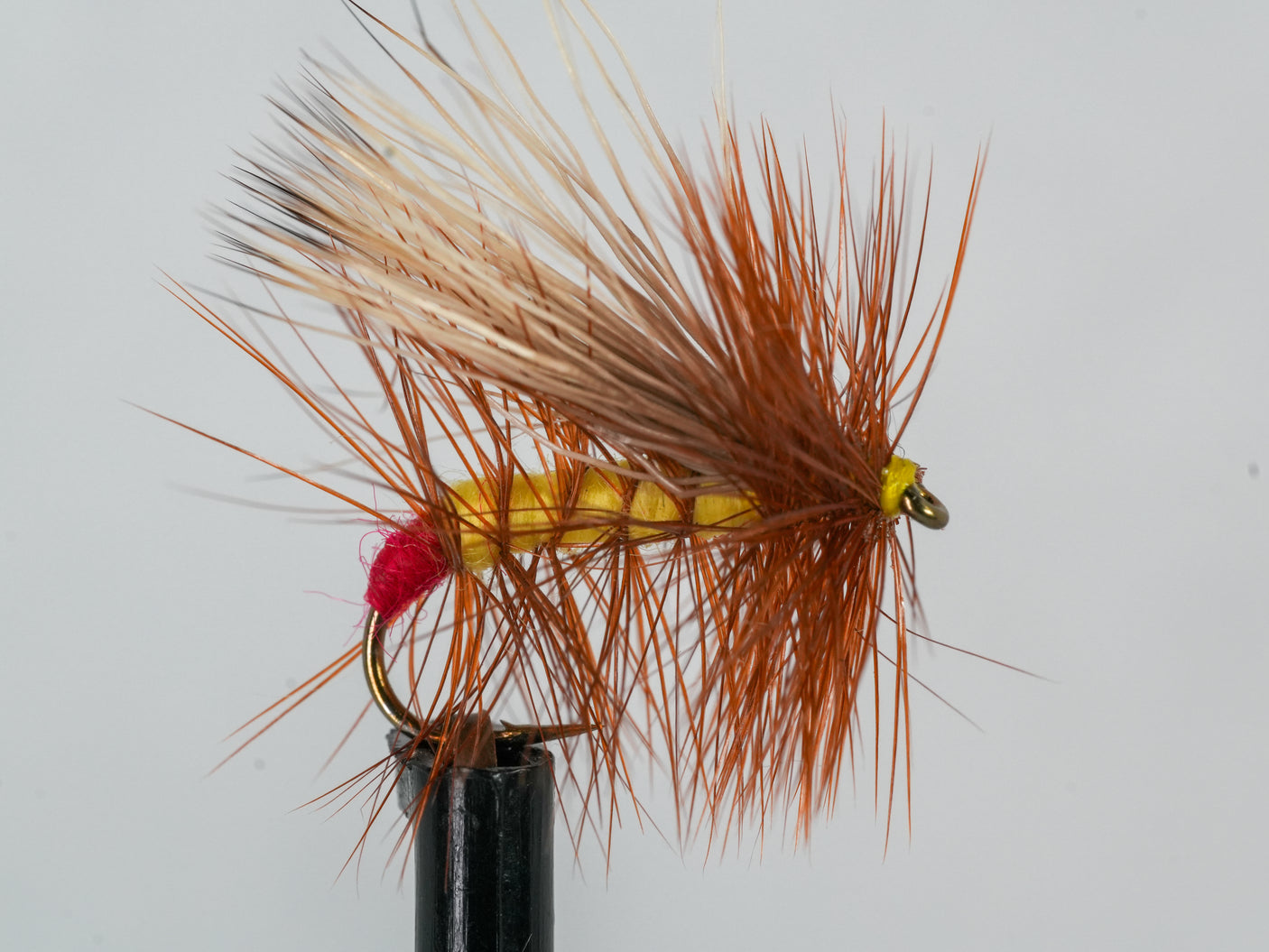 Henry's Fork Yellow Sally