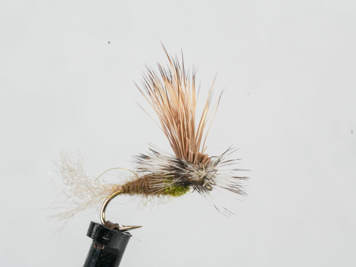 E.C. Caddis