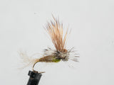 E.C. Caddis