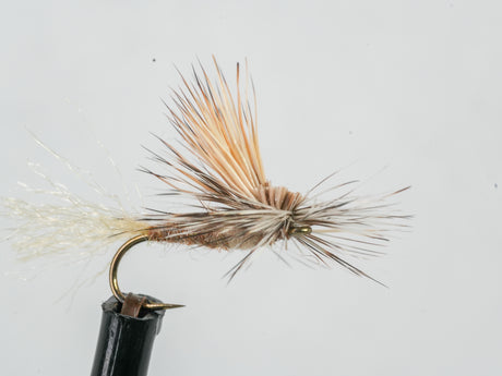 E.C. Caddis