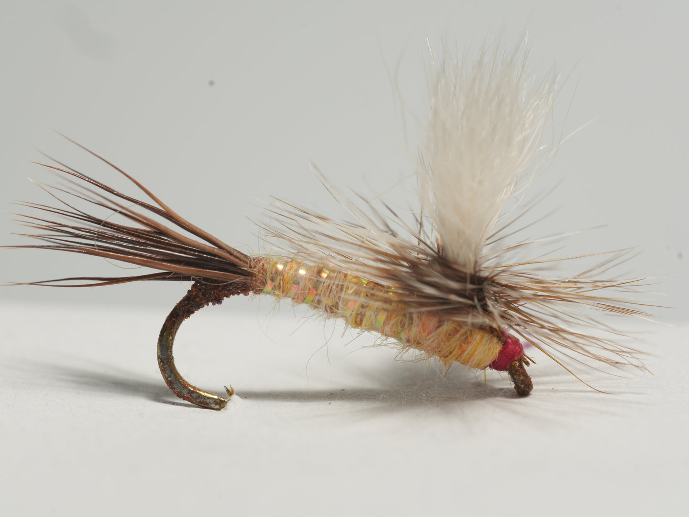 Para Ausable Wulff