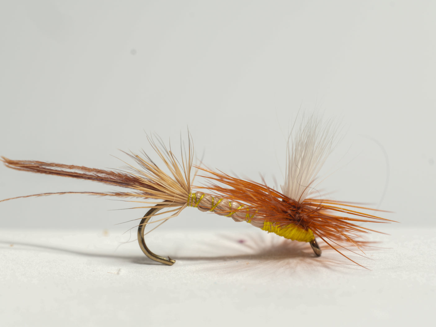 Para-Caddis