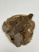 Grade #1 Hungarian Partridge Skin - Natural