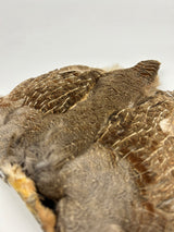 Grade #1 Hungarian Partridge Skin - Natural