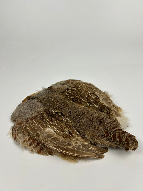 Grade #1 Hungarian Partridge Skin - Natural