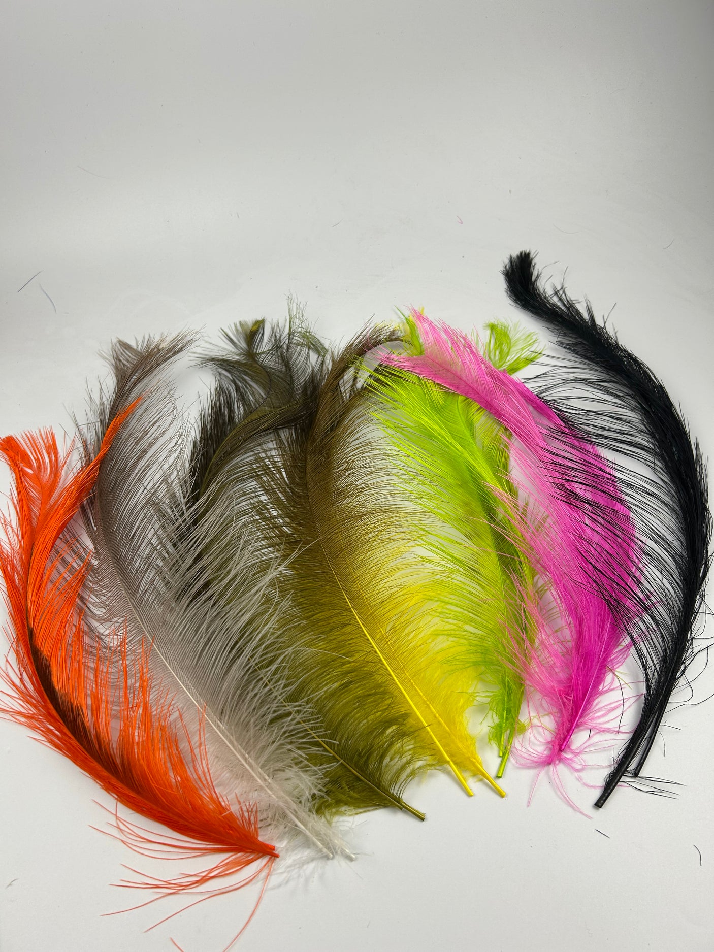 Rhea Spey Hackle - 2 feathers