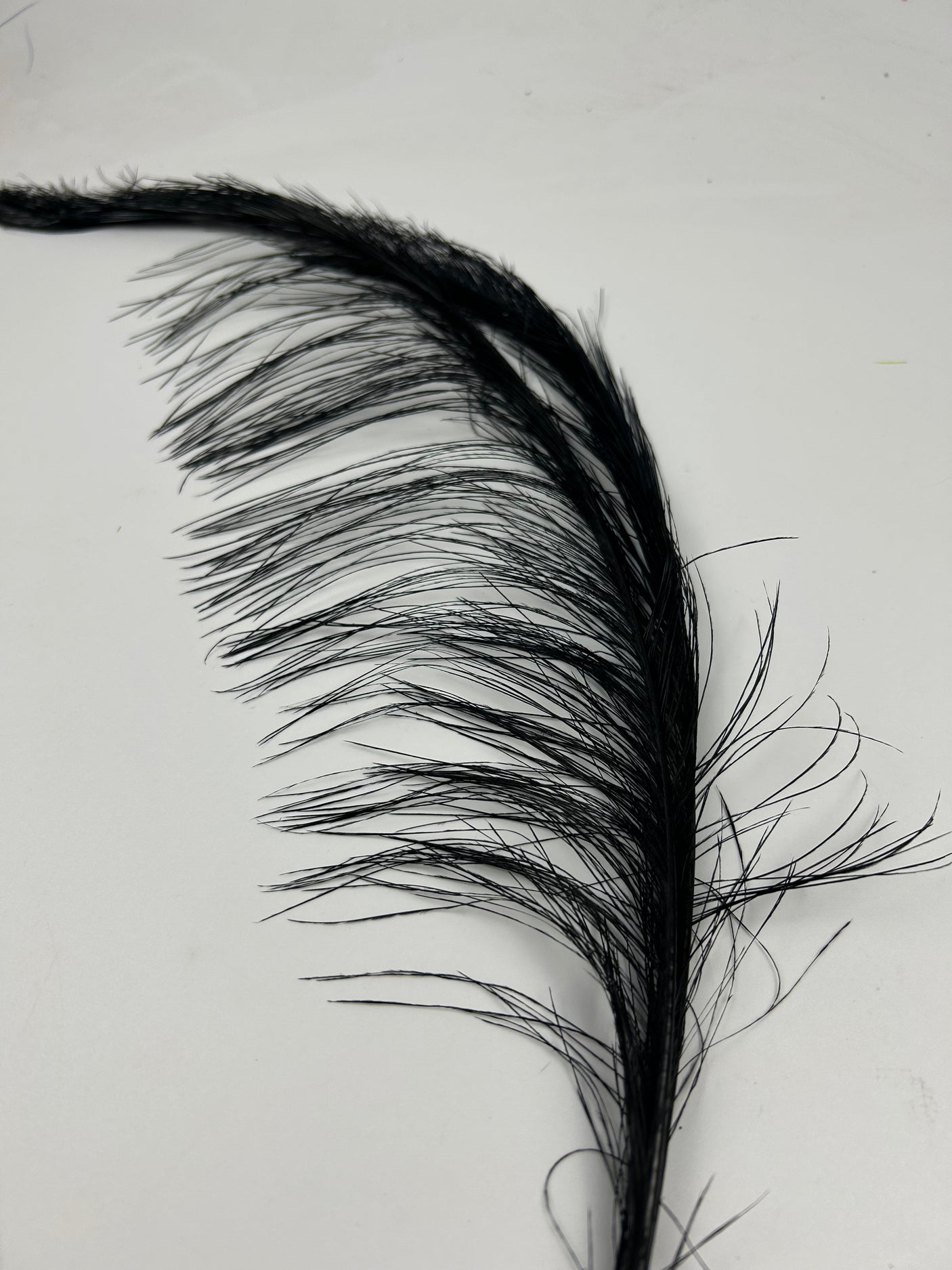 Rhea Spey Hackle - 2 feathers