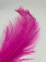 Rhea Spey Hackle - 2 feathers