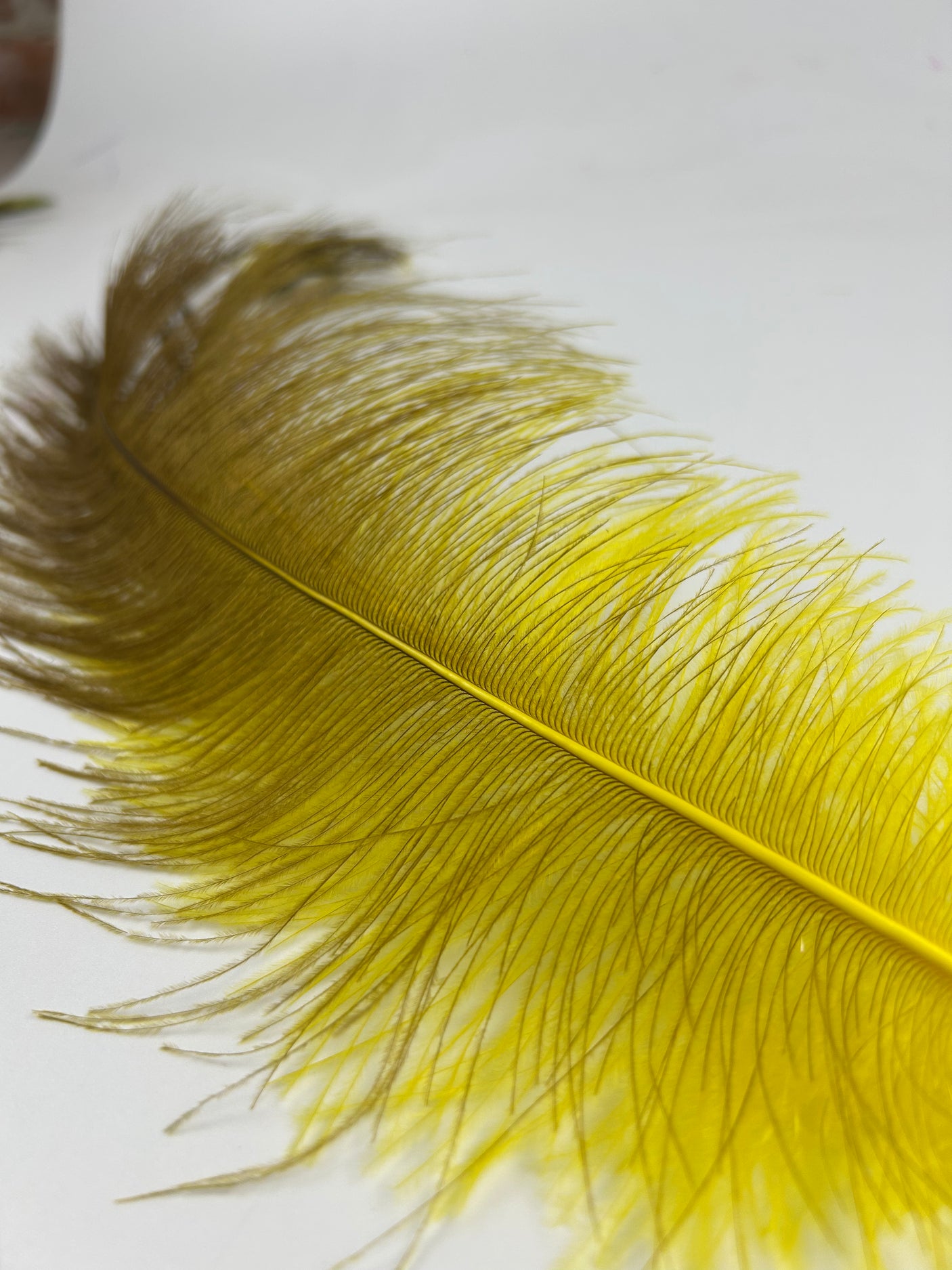 Rhea Spey Hackle - 2 feathers