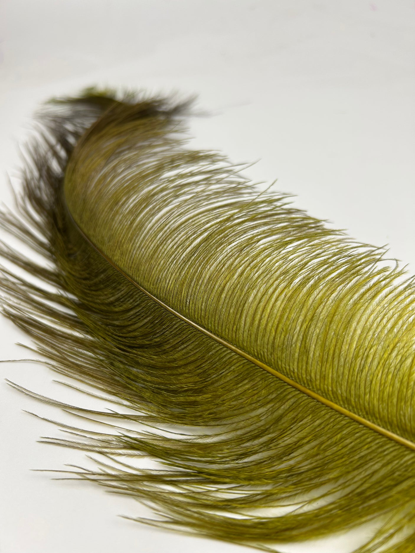 Rhea Spey Hackle - 2 feathers