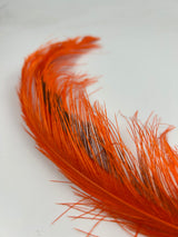 Rhea Spey Hackle - 2 feathers