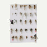 Pheasant Tail Simplicity: Companion Fly Box