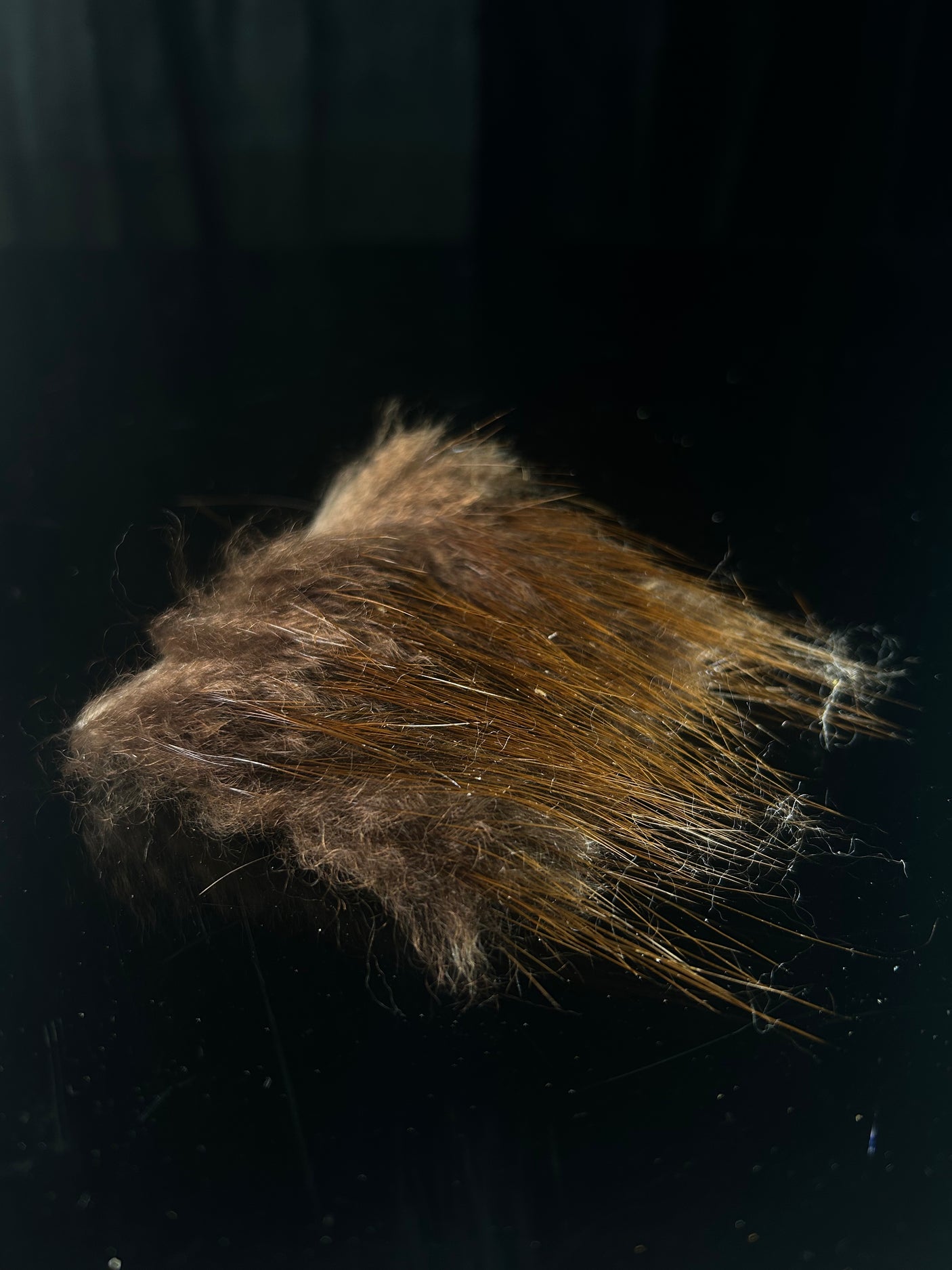 Beaver Back Fur