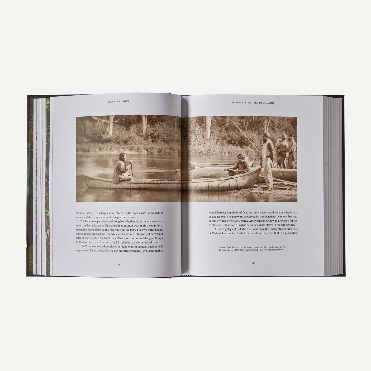 Salmon: A Fish, the Earth and the History of Their Common Fate