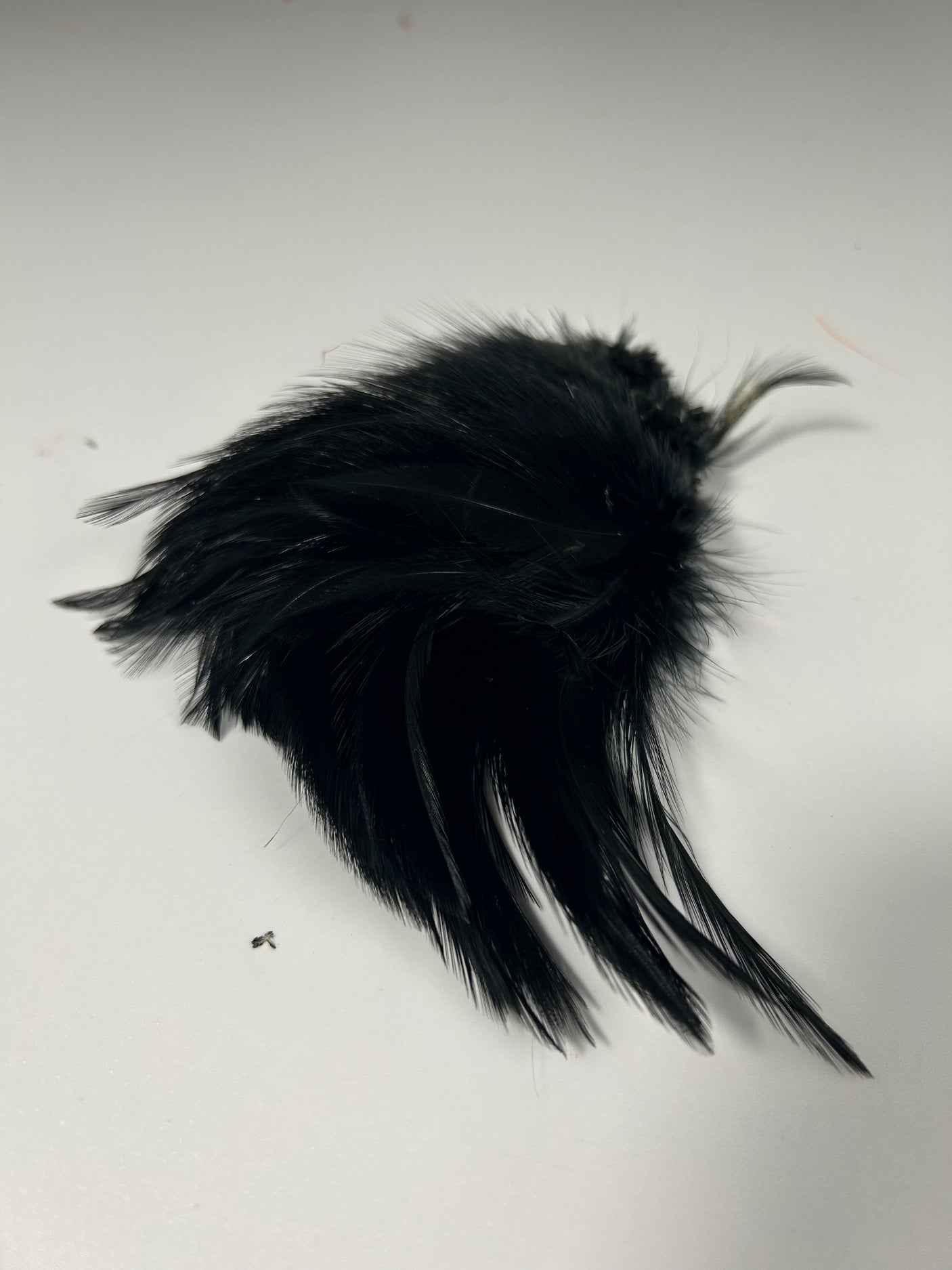 Waters West Strung Neck Hackle 4-6"