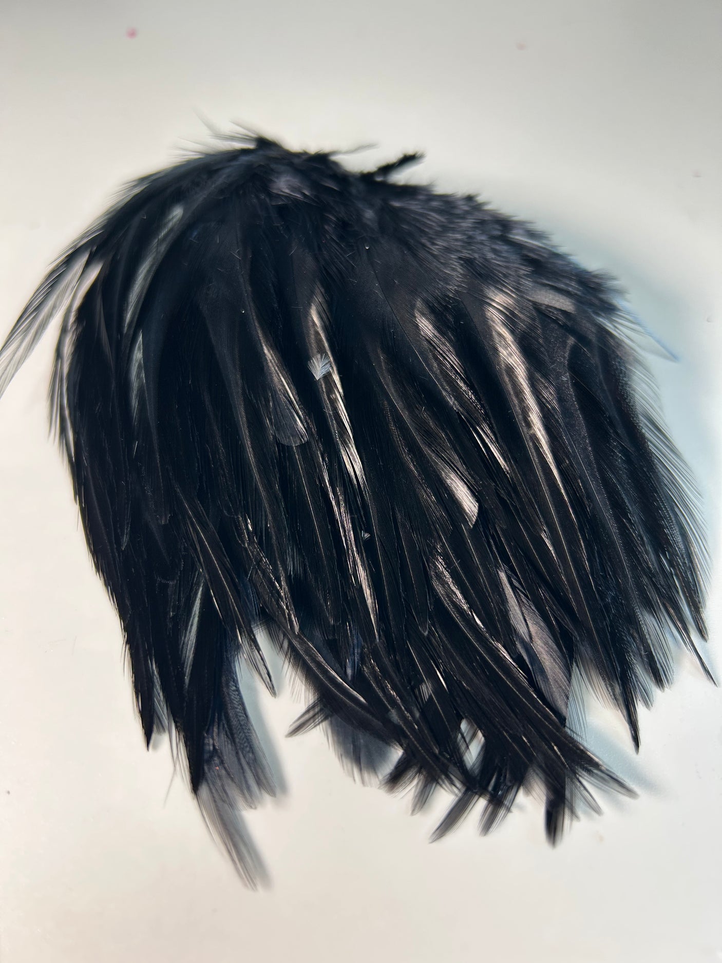 Waters West Chinese Saddle Hackle