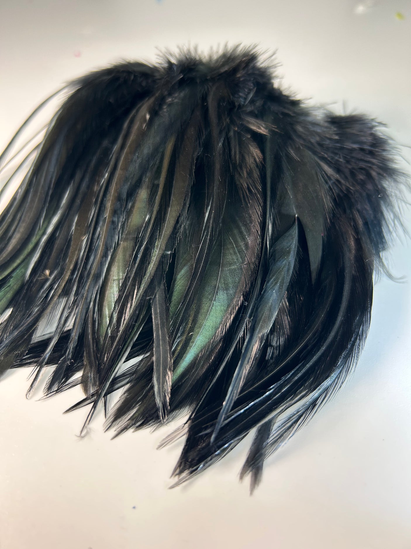 Waters West Chinese Saddle Hackle