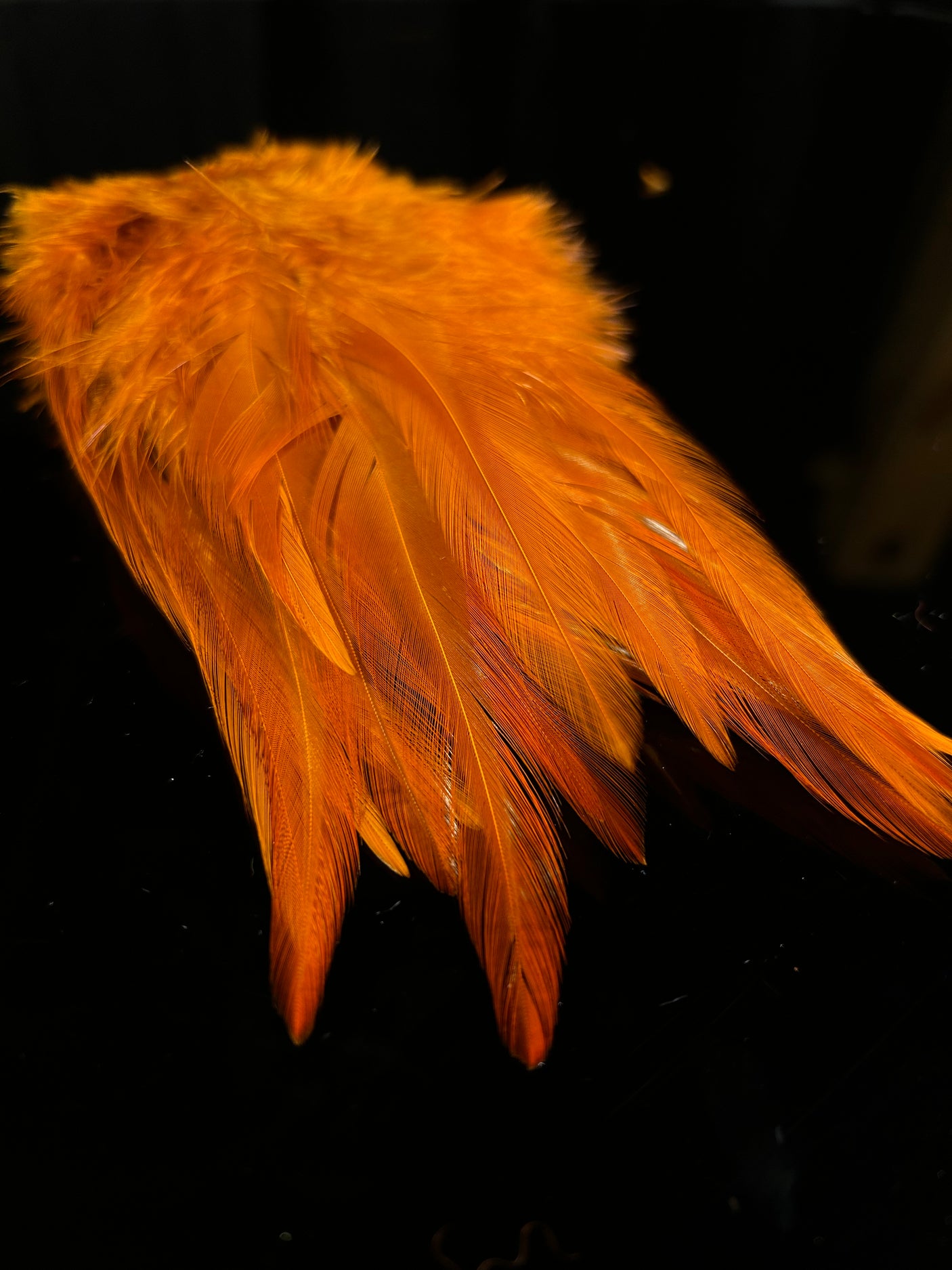 Fish Hunter Select Saddle Hackle