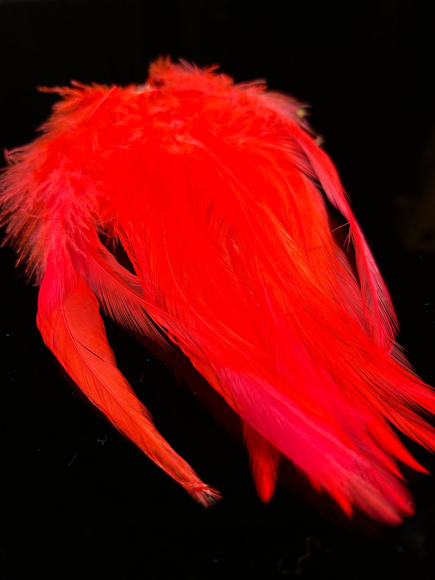 Fish Hunter Select Saddle Hackle
