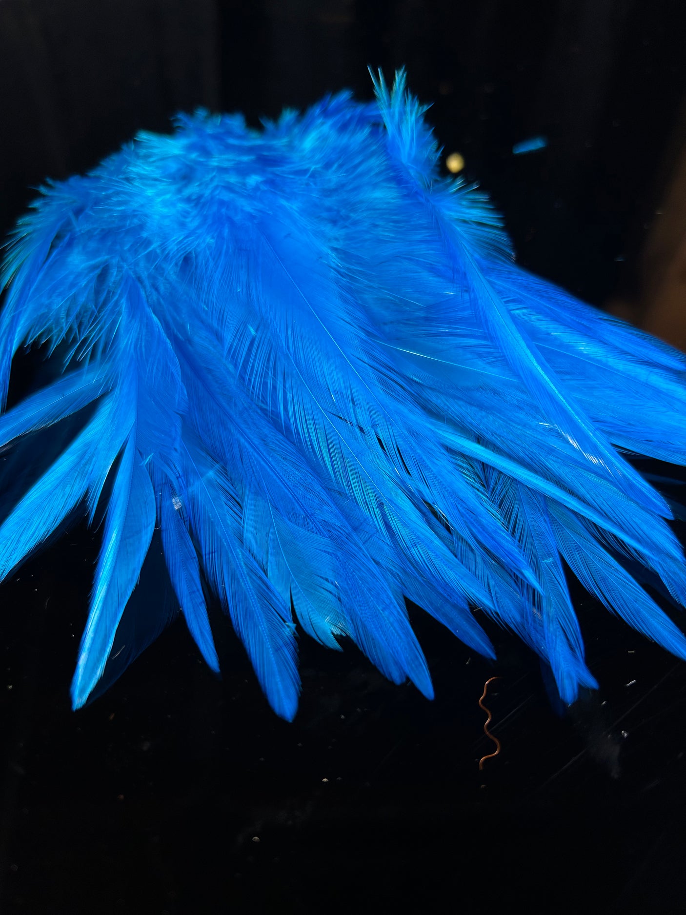 Fish Hunter Select Saddle Hackle