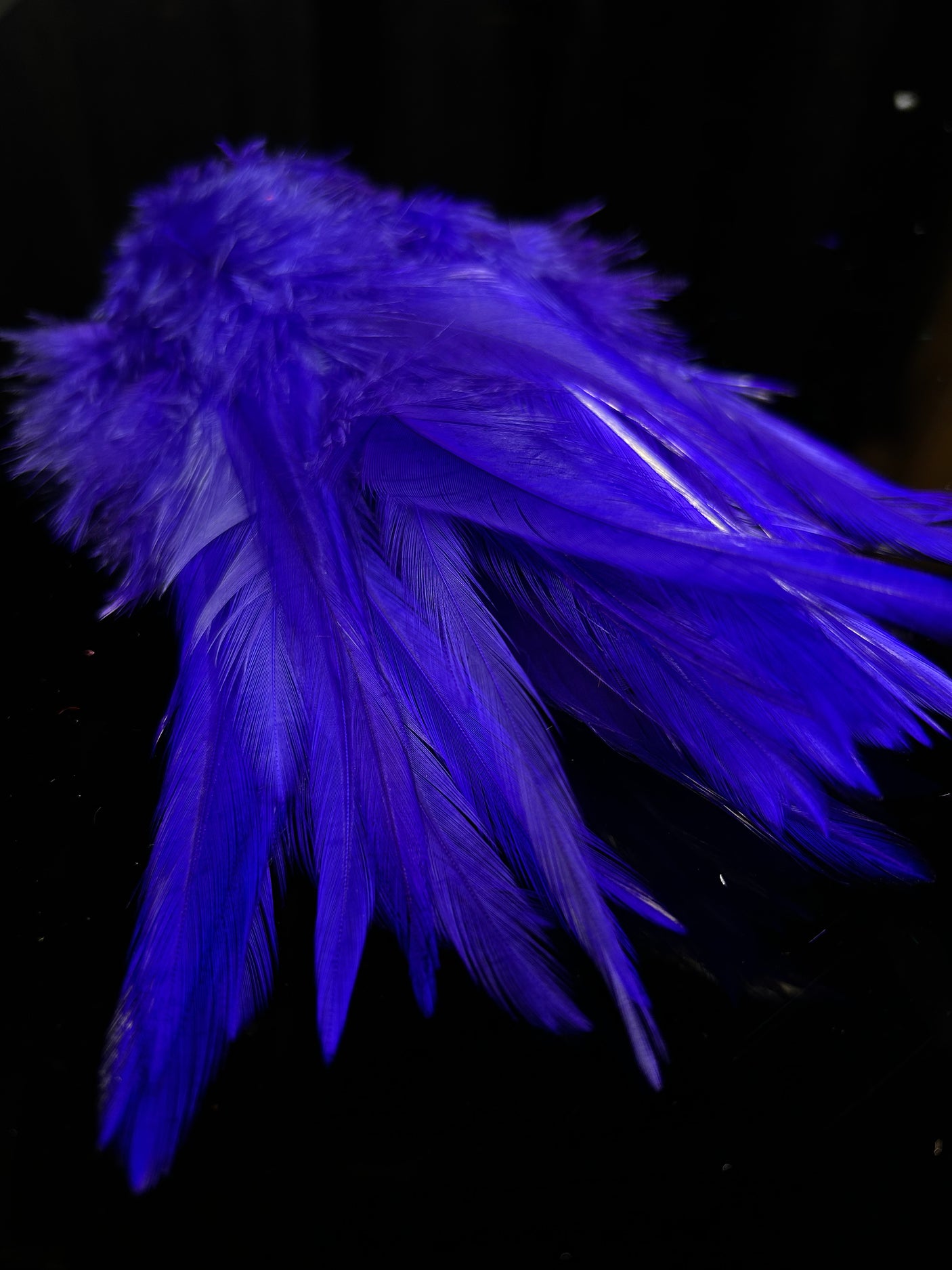Fish Hunter Select Saddle Hackle