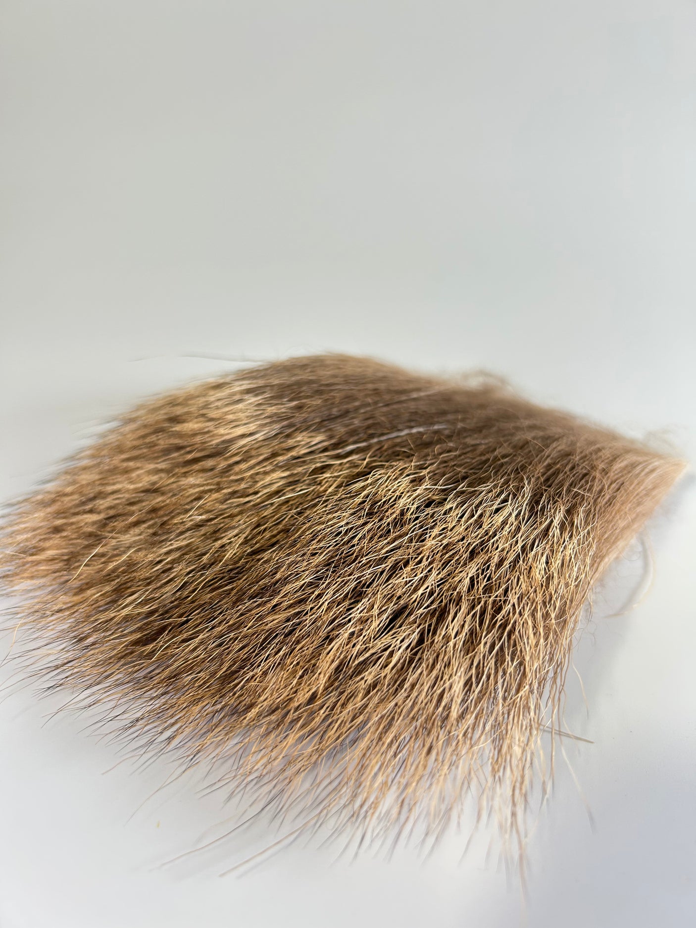 ELK RUMP. NATURAL