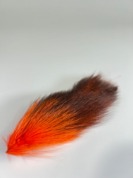 Monga Ringtail
