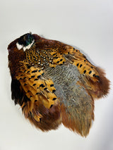 Ringneck Pheasant Skin - Natural