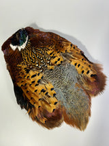 Ringneck Pheasant Skin - Natural