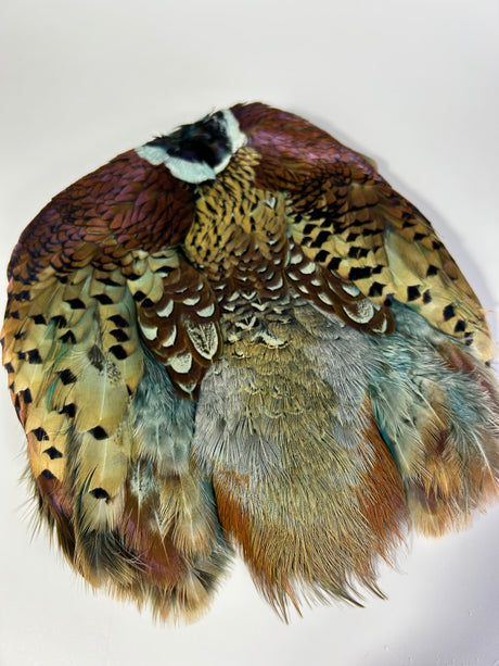 Ringneck Pheasant Skin - Dyed
