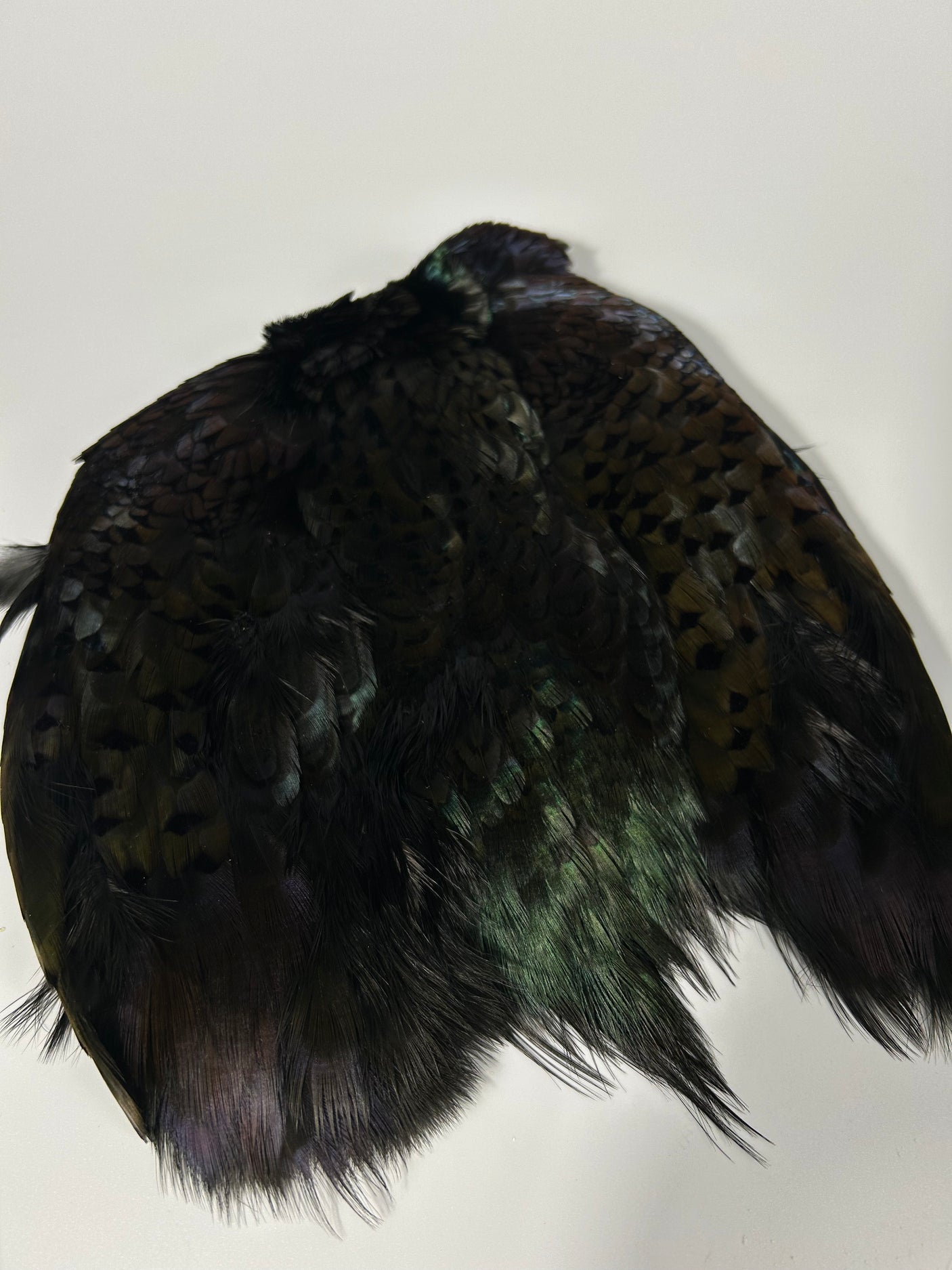 Ringneck Pheasant Skin - Dyed