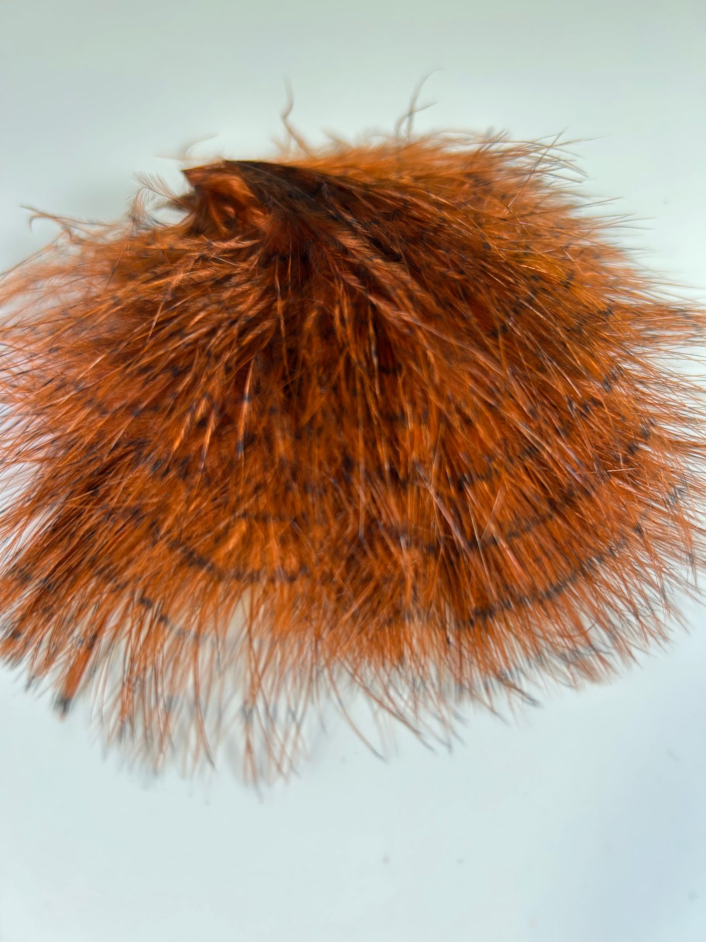 MFC Fine Barred Marabou - Burnt Orange/Barred Black