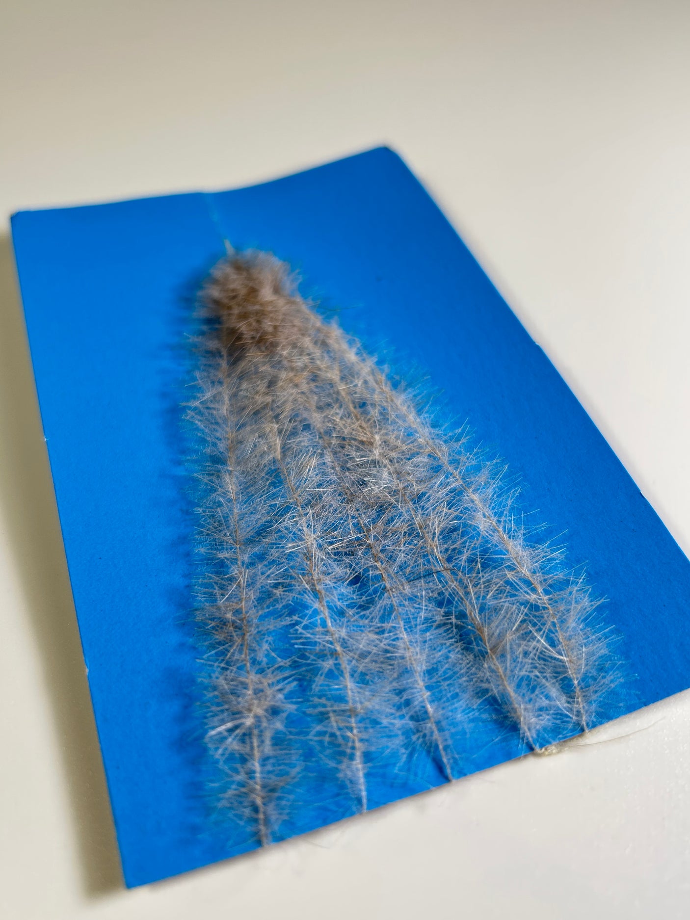 Henry's Fork Hackle - Ultra-Light - Mottled Dun