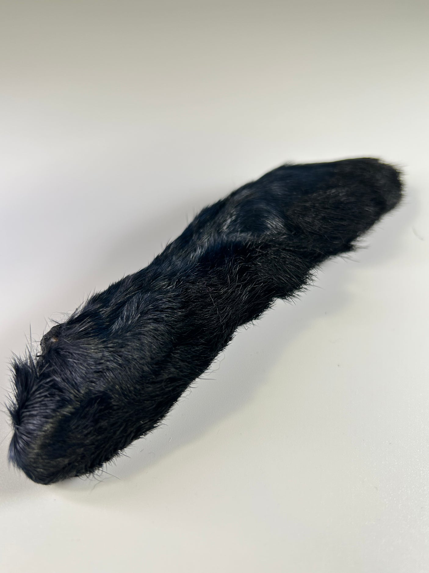 Snowshoe Rabbit Foot