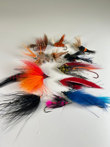 B.C. Summer Run Selection