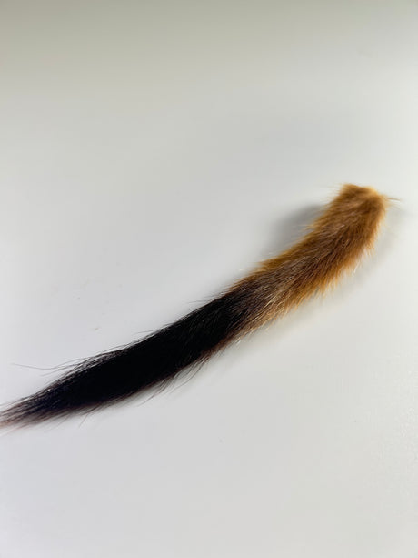 Stoat Tail