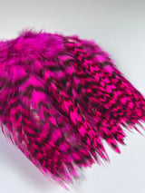 Strung Grizzly Hackle Dyed Fuchsia 4-6""