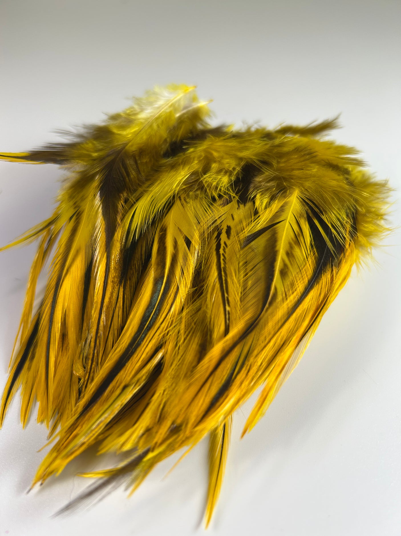 Badger Saddle Hackle - Dyed Yellow