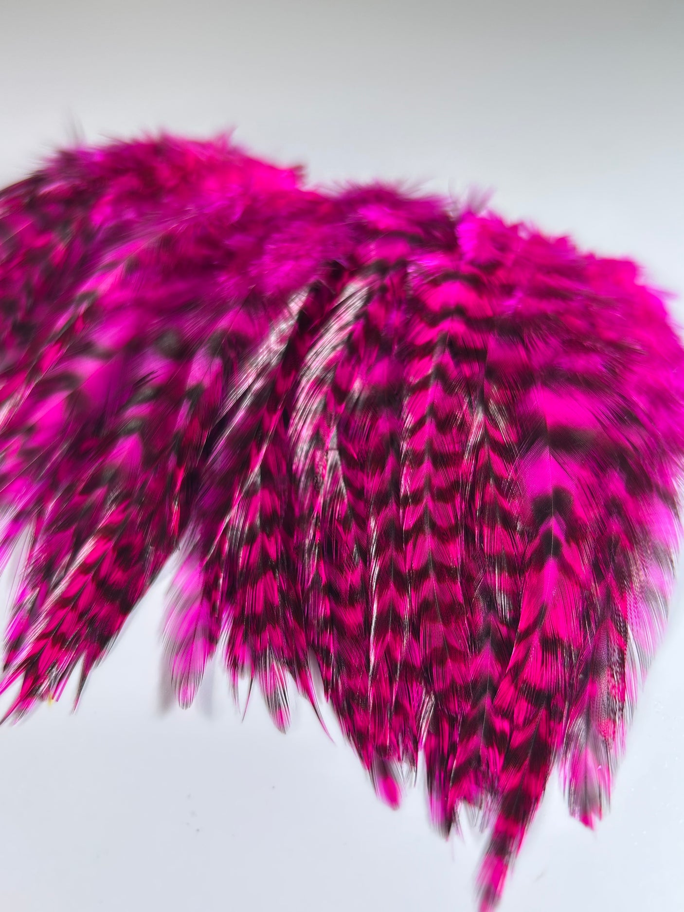 Strung Grizzly Hackle Dyed Fuchsia 4-6""