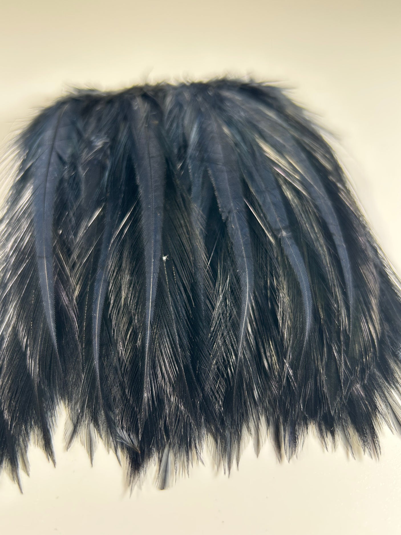 Select Spey Hackle - Dyed Black