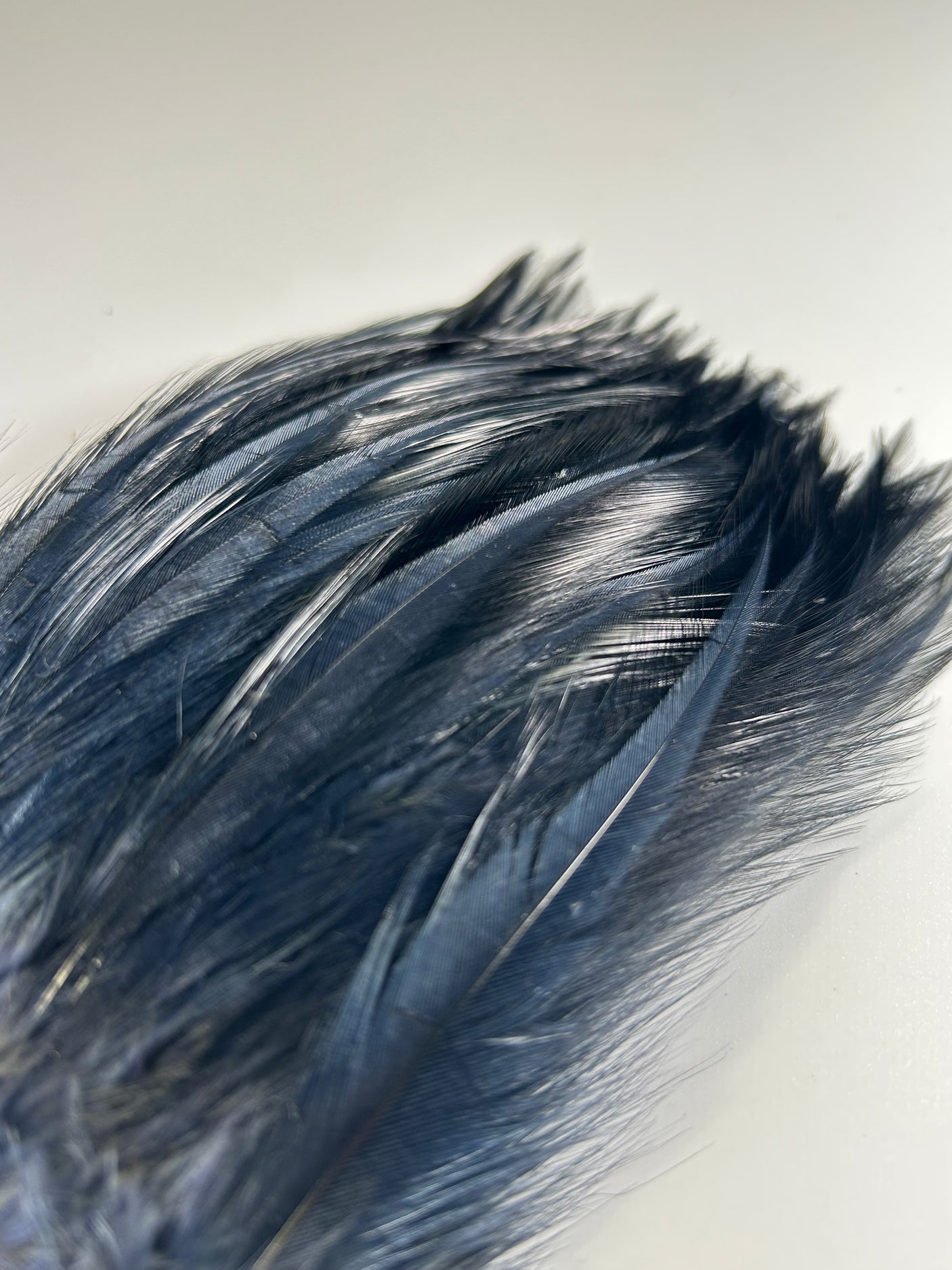 Select Spey Hackle - Dyed Black